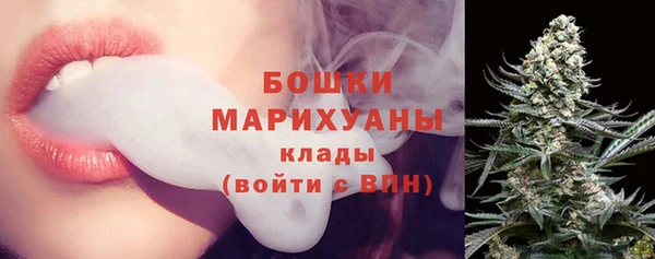 стаф Арсеньев