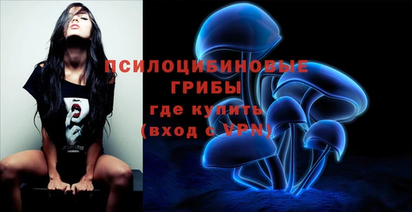 a pvp Балабаново