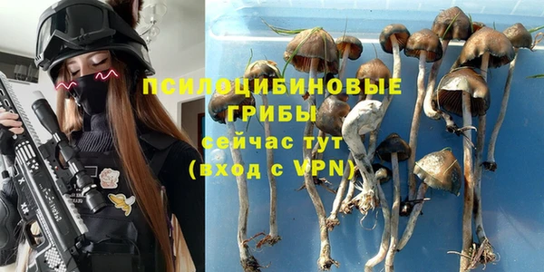 ешки Балахна