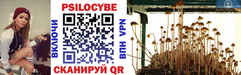 Псилоцибиновые грибы прущие грибы  omg зеркало  Ивангород 